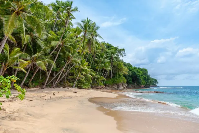 Punta Cana todo incluido Royalton Splash Punta Cana