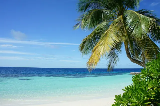 Punta Cana todo incluido Grand Palladium Select Bávaro