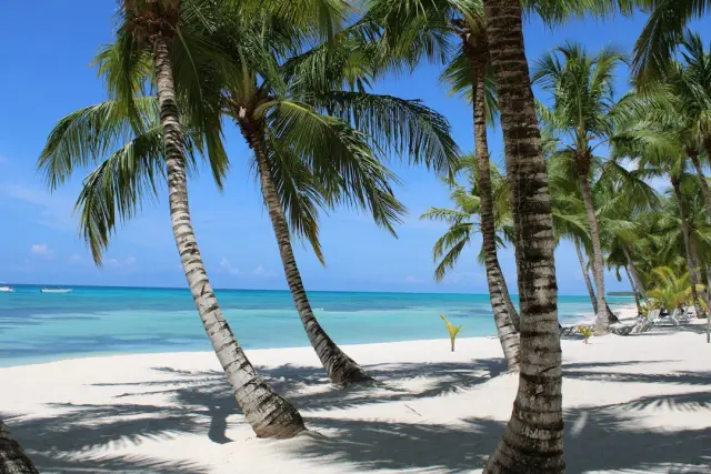 Punta Cana todo incluido VIK Hotel Arena Blanca