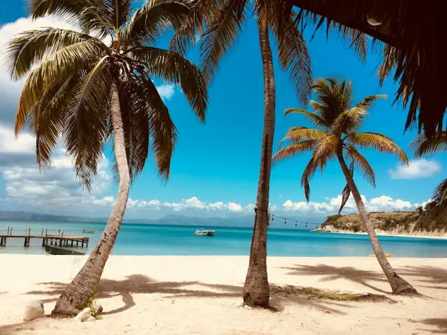 Punta Cana todo incluido Live Aqua Punta Cana (solo adultos)