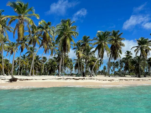 Punta Cana todo incluido Hard Rock Hotel & Casino Punta Cana