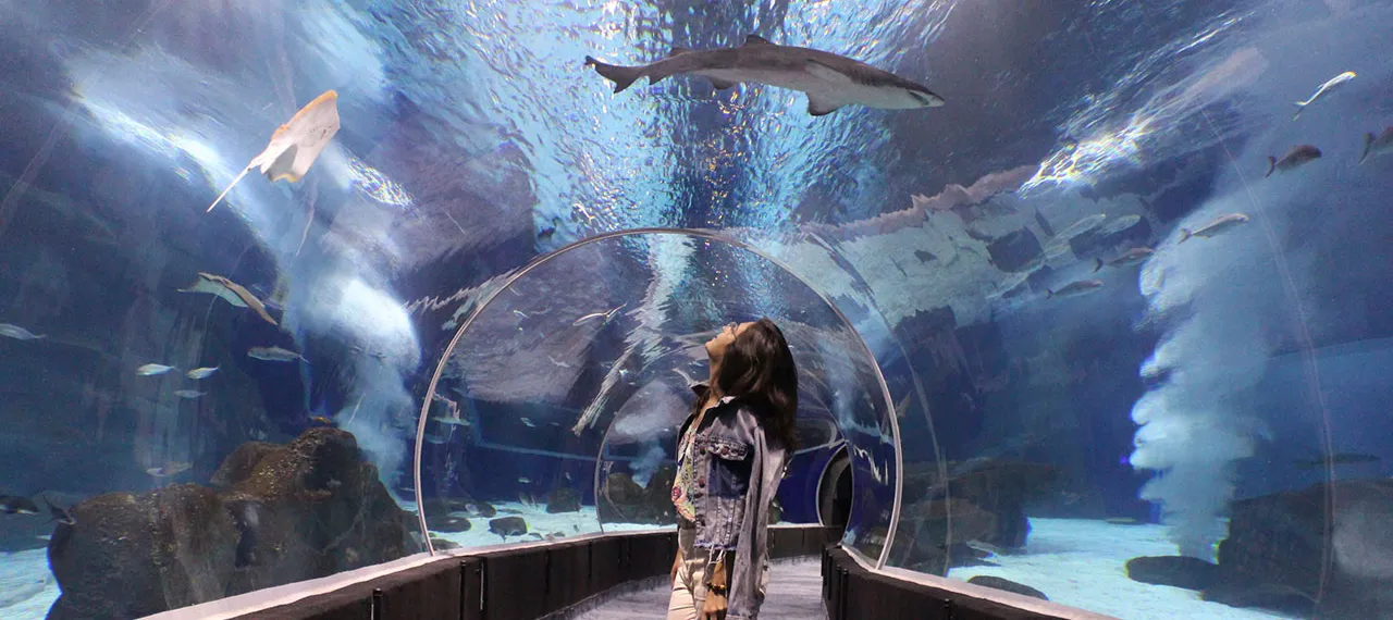 Acuario de Rio