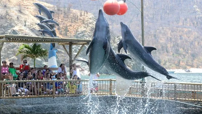Excursión a Playa Blanca opción de Acuario y Museo