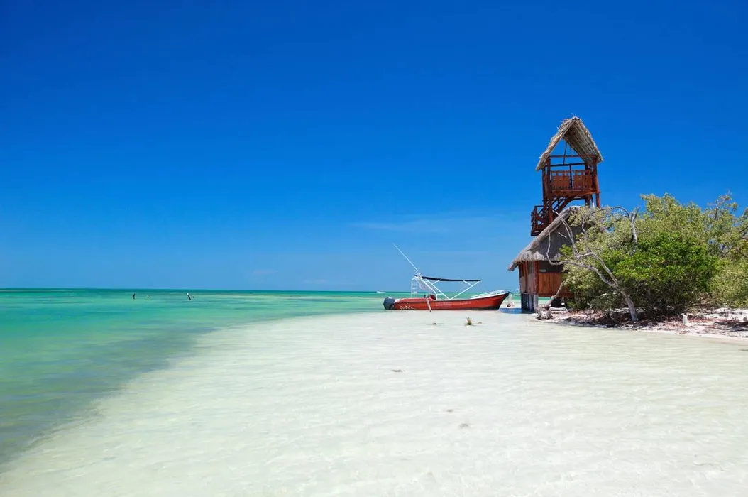 Holbox Mágico: Isla Pasión y Punta Mosquito