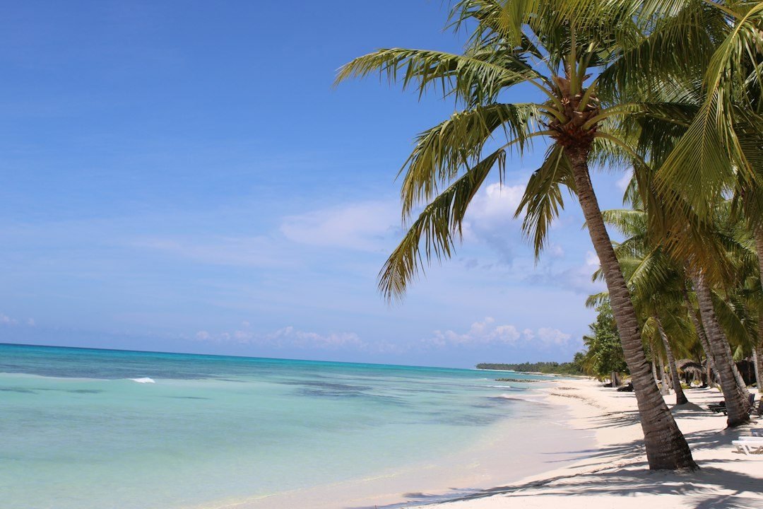 Punta Cana todo incluido Riu República (solo adultos)