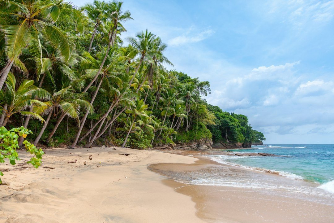 Punta Cana todo incluido Royalton Splash Punta Cana 7 días / 6 noches