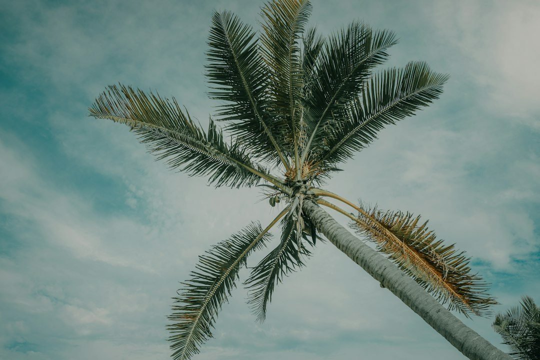 Punta Cana todo incluido Lopesan Costa Bávaro Resort