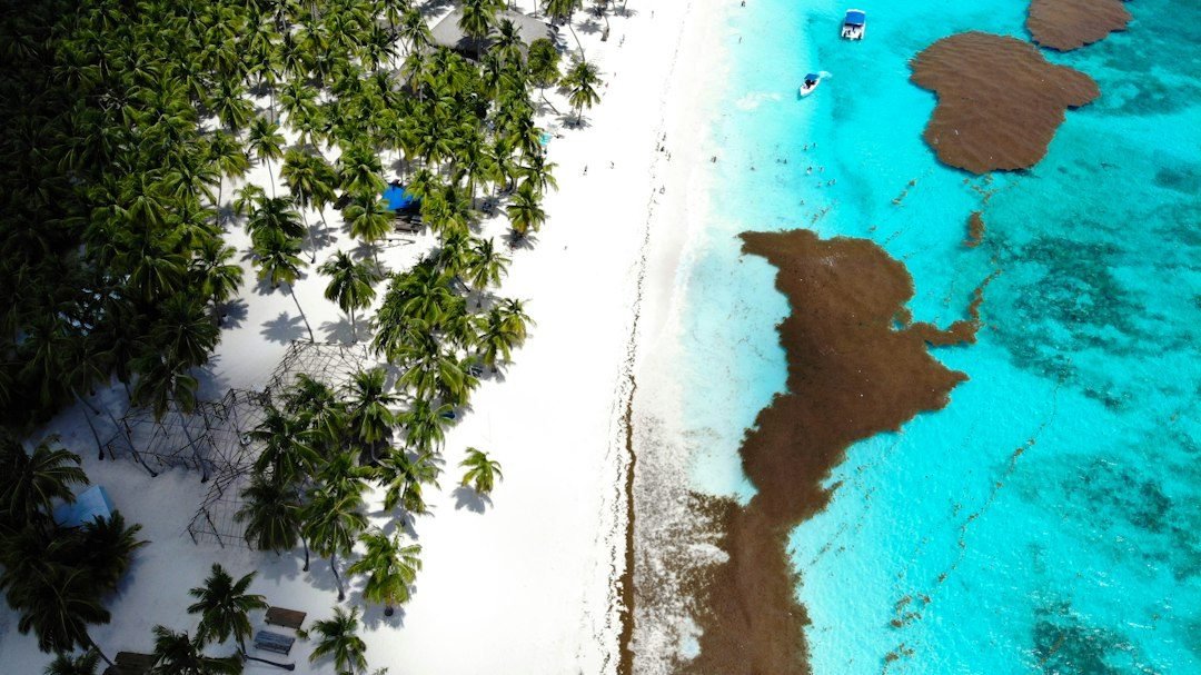 Punta Cana todo incluido Paradisus Palma Real