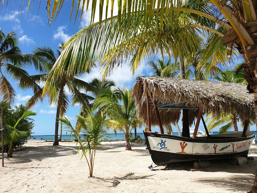 Punta Cana todo incluido Live Aqua Punta Cana (solo adultos) 8 días / 7 noches